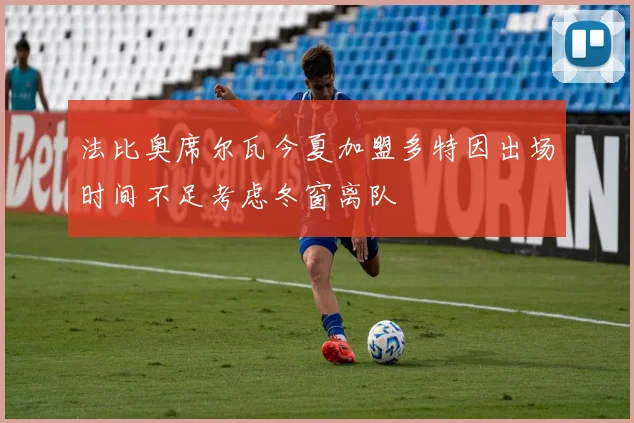 法比奥席尔瓦今夏加盟多特因出场时间不足考虑冬窗离队