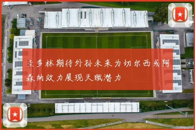 圭多林期待外孙未来为切尔西或阿森纳效力展现天赋潜力