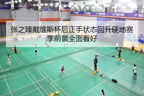 张之臻戴维斯杯后正手状态回升硬地赛季前景全面看好（MKSPORTS）